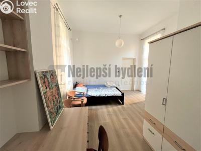 Pronájem bytu 1+1 Brno, Botanická č. 4