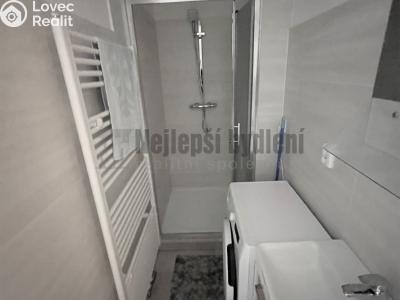 Pronájem bytu 1+1 Brno, Botanická č. 6