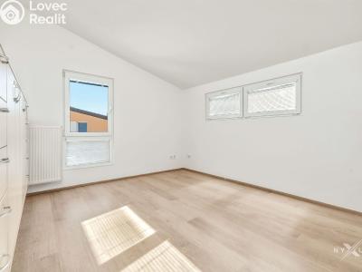 Pronájem rodinného domu Hostouň, U Tvrze 523 č. 6