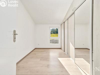 Pronájem rodinného domu Hostouň, U Tvrze 523 č. 8