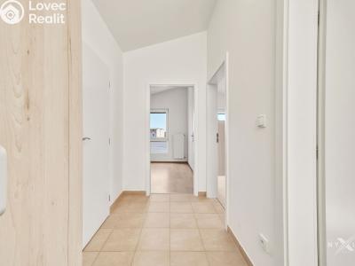Pronájem rodinného domu Hostouň, U Tvrze 523 č. 14