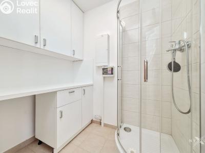 Pronájem rodinného domu Hostouň, U Tvrze 523 č. 17