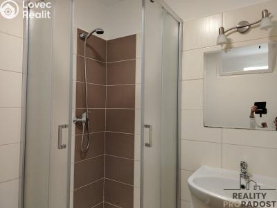 Pronájem bytu 2+1 Znojmo, Rooseveltova č. 4
