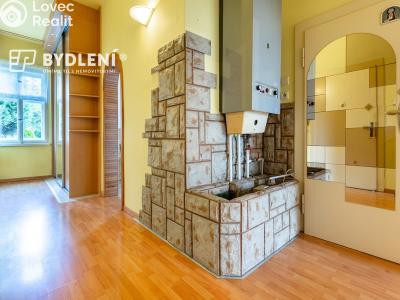 Sale multi-gen house Novosedlice, Husova č. 5