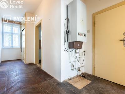 Sale multi-gen house Novosedlice, Husova č. 8