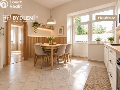Sale multi-gen house Novosedlice, Husova č. 10