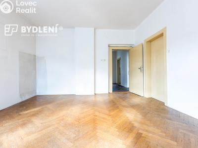 Sale multi-gen house Novosedlice, Husova č. 33