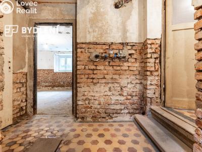 Sale multi-gen house Novosedlice, Husova č. 36