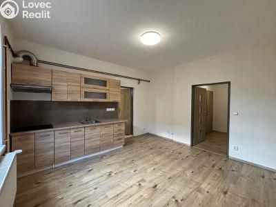 Rent apartment 2+KK Nýřany, Benešova třída 278 č. 2