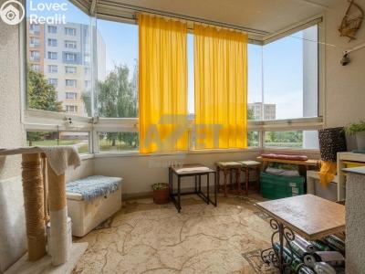 Sale apartment 3+1 Orlová, Ke Studánce 1027 č. 5