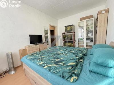 Sale apartment 3+1 Orlová, Ke Studánce 1027 č. 14