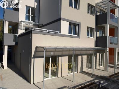 Prodej bytu 2+KK Teplice, Albrechtova č. 1