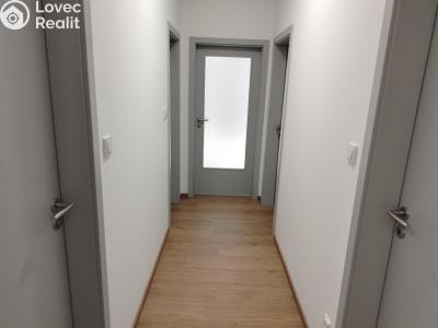 Sale apartment 3+KK Pardubice, U Sportovní školy 377 č. 15