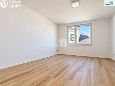 Rent apartment 3+KK Němčice č. 1