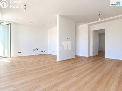 Rent apartment 3+KK Němčice č. 3