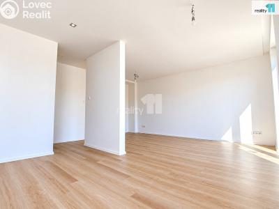 Rent apartment 3+KK Němčice č. 8