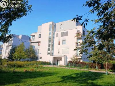 Rent apartment 1+KK Beroun, V Zahradách č. 2