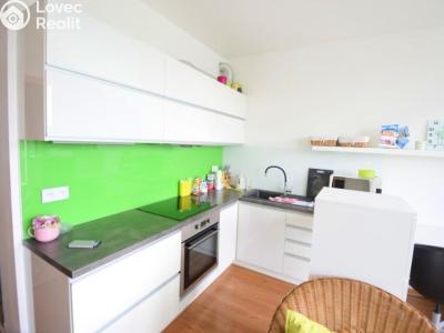 Rent apartment 1+KK Beroun, V Zahradách č. 3