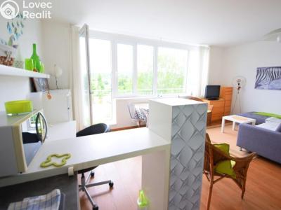 Rent apartment 1+KK Beroun, V Zahradách č. 5