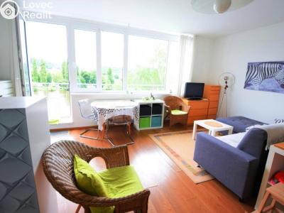 Rent apartment 1+KK Beroun, V Zahradách č. 9