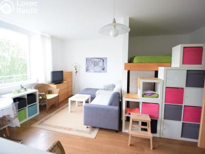 Rent apartment 1+KK Beroun, V Zahradách č. 10