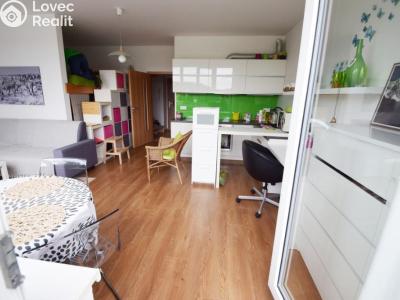 Rent apartment 1+KK Beroun, V Zahradách č. 12