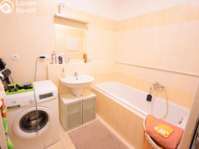 Rent apartment 1+KK Beroun, V Zahradách č. 17