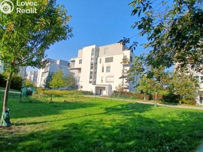 Rent apartment 1+KK Beroun, V Zahradách č. 18