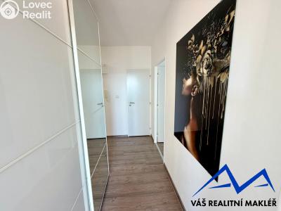 Pronájem bytu 2+1 Ostrava, Pavlovova č. 4