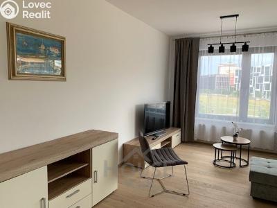 Rent apartment 2+KK Praha, Sokolova č. 1