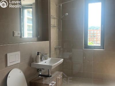 Rent apartment 2+KK Praha, Sokolova č. 8