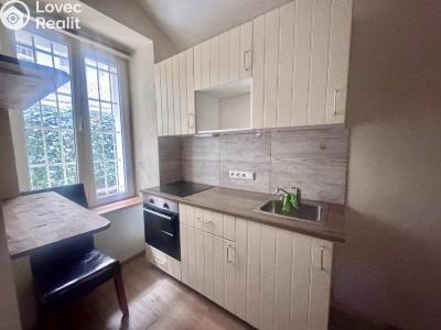 Rent apartment 1+1 Praha, Milady Horákové č. 11