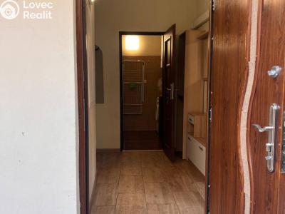 Rent apartment 1+1 Praha, Milady Horákové č. 2