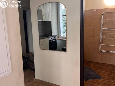Rent apartment 1+1 Praha, Milady Horákové č. 3