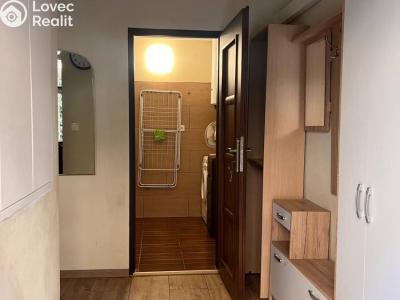 Rent apartment 1+1 Praha, Milady Horákové č. 6