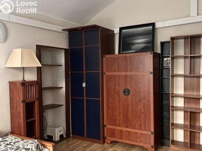 Rent apartment 1+1 Praha, Milady Horákové č. 8