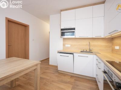 Rent apartment 3+1 Vodňany, Sídl. Škorna 1198 č. 2