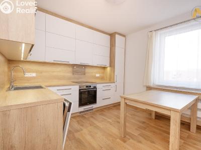 Rent apartment 3+1 Vodňany, Sídl. Škorna 1198 č. 3