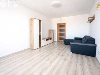 Rent apartment 3+1 Vodňany, Sídl. Škorna 1198 č. 6