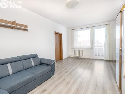 Rent apartment 3+1 Vodňany, Sídl. Škorna 1198 č. 7