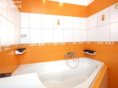Rent apartment 3+1 Vodňany, Sídl. Škorna 1198 č. 15