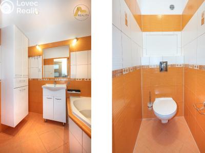 Rent apartment 3+1 Vodňany, Sídl. Škorna 1198 č. 16