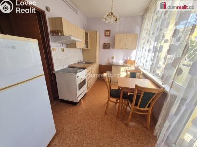 Prodej bytu 1+1 Roudnice nad Labem, Alej 17. listopadu č. 7