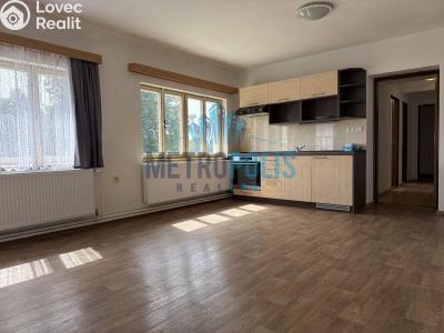 Rent apartment 2+1 Bystřice, U Splavu 139 č. 4