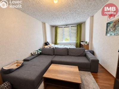 Sale apartment 2+1 Chodov, Palackého č. 5