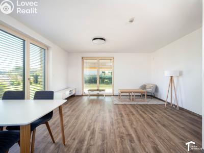 Pronájem rodinného domu Staré Hradiště, K Jarošku 317 č. 5
