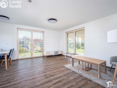 Pronájem rodinného domu Staré Hradiště, K Jarošku 317 č. 7