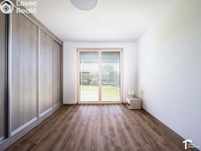 Pronájem rodinného domu Staré Hradiště, K Jarošku 317 č. 11