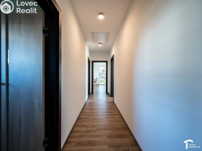 Pronájem rodinného domu Staré Hradiště, K Jarošku 317 č. 15