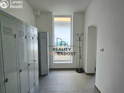 Pronájem komerční nemovitosti Hodonín, Kolískova č. 12